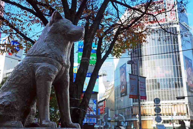 東京都渋谷区で居抜きオフィス移転するならどこがいい？【2024年9月更新】