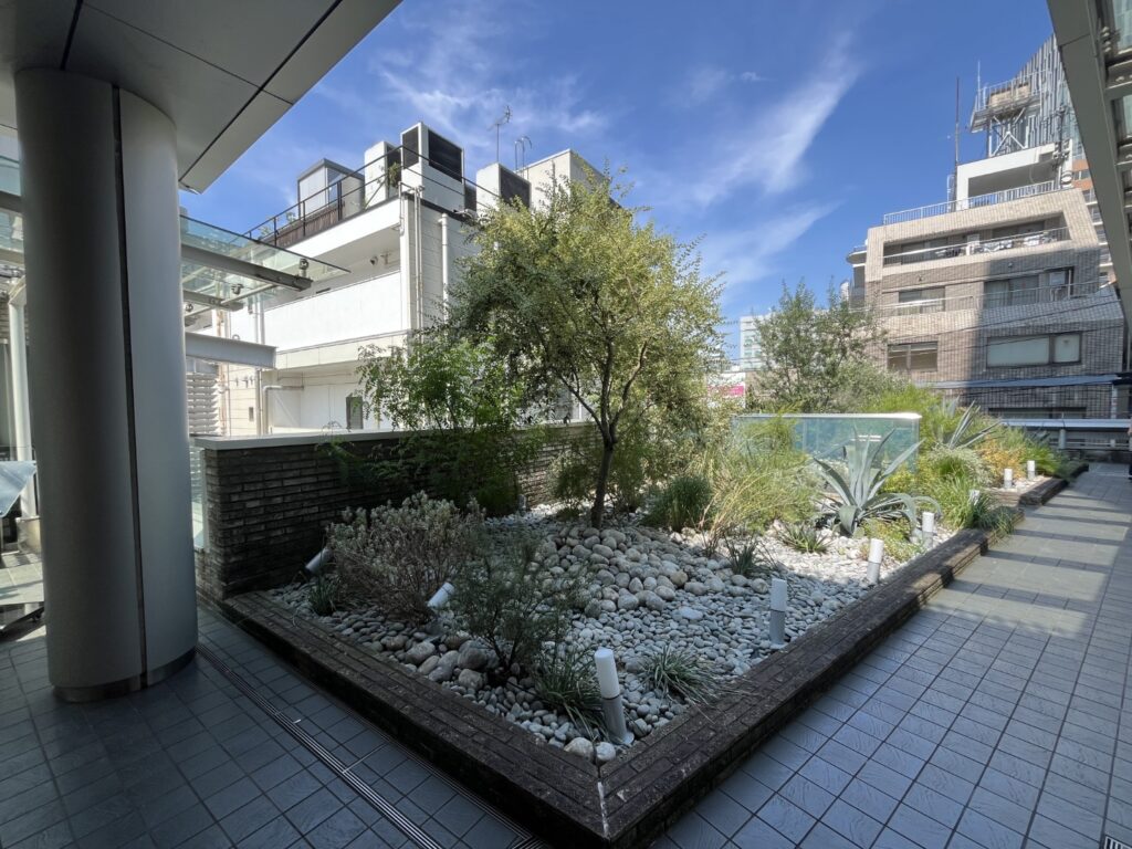 【セットアップ 表参道駅徒歩3分】テラス付×即入居可オフィスの写真7