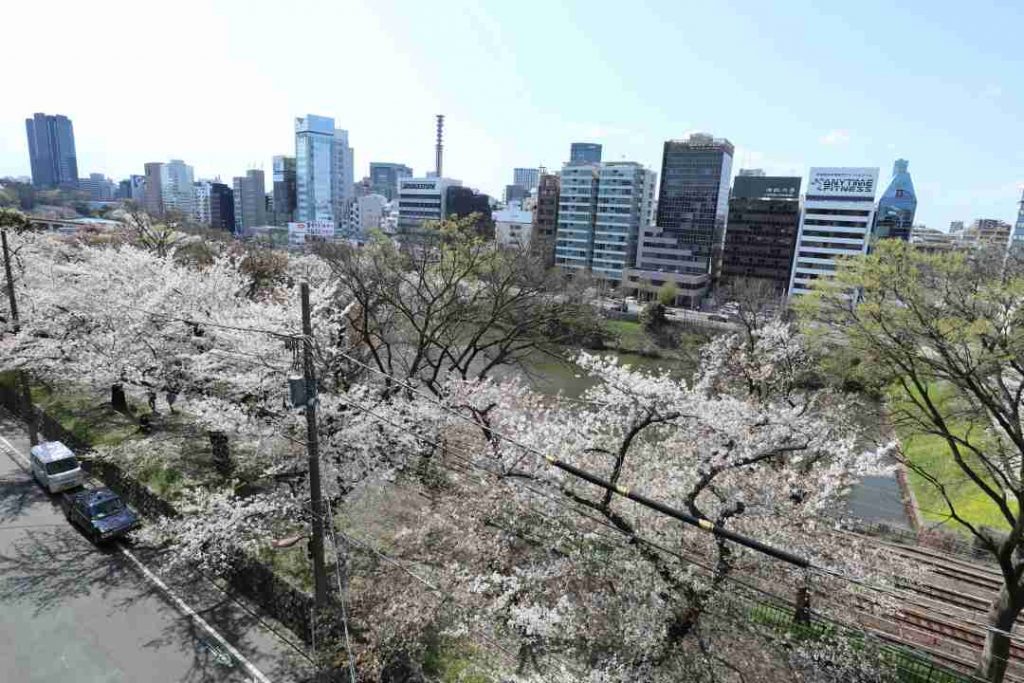 市ケ谷駅徒歩５分！川近くの自然を感じられるセットアップオフィスの写真7